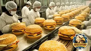 How Burgers Are Made in Factory 🍔🍔 Amazing Burger Making Process | Captain Discovery