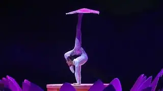 Chinese Contortion: Rug Spinning 柔术转毯《荷风飘香》