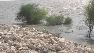 HALA OLD   DARYA SINDH