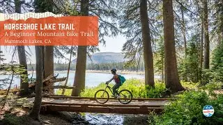 Horseshoe Lake Trail, A Beautiful Beginner Bike Trail in Mammoth Lakes, CA