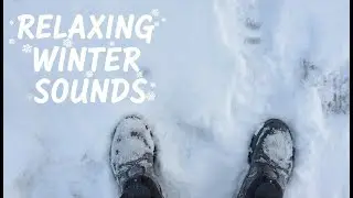First Snow Walk in New 2026 Year | Close-Up Footsteps ASMR | 5 Min Winter Soundscape
