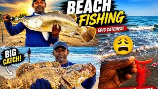 🔥BIG Catches || BARRAMUNDI || Grouper (கொடுவா மீன் மற்றும் களவா மீன் )🔥