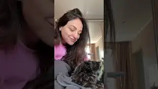 Маленький шнауцер, большое утро #цвергшнауцер #dogsoftiktok #шортс #petsoftheday #утро #собачьяжизнь