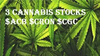 3 CANNABIS STOCKS TO KEEP IN YOUR WATCHLIST | $ACB $CGC $CRON