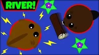 MOPE.IO RIVER ANIMALS | ALL RIVER ANIMAL IDEAS | MOPE.IO NEW UPDATE(Mope.io)