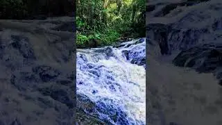 Morning Mist Over a Bali River | Tranquil Nature Vibes  #bali #nature #baliescape