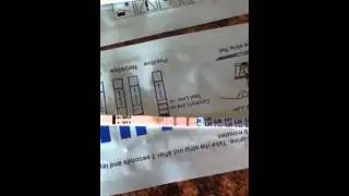 Positive Opk 2 days before af.