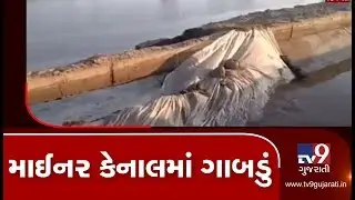 Banaskantha: Huge water loss due to breach in minor canal at Sapreda village | TV9News