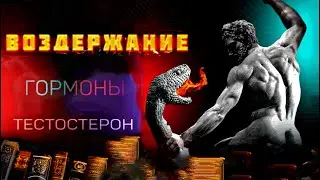 Не работает Воздержание? Гайд по NoFap