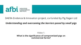 1. What is the significance of compromised pigs on commercial farms?