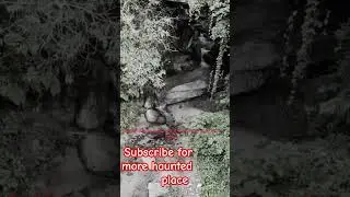 #mosthauntedplace #horrorshorts #horrorstories #hauntedforest
