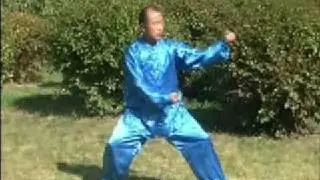Hunyuan Taichi 46 Cannon feng zhiqiang