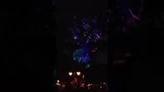 Animal Kingdom Tree Light Show