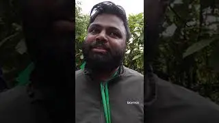 Save Aarey forest - Save Mumbai