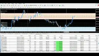 XAUhunter forex robot has been making stable profits on XAU/USD. Automated trading |12-14 March 2025