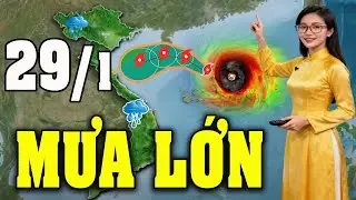 Dự Báo Thời Tiết Đêm Nay và Ngày Mai 29/1 | Thời Tiết Hôm Nay 3 Ngày Tới Mới Nhất|#thoitiet
