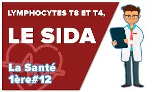 Immunité adaptative 5 :  Lymphocytes T8 et T4, Le SIDA - SVT - SANTÉ 1ère spé #12 - Mathrix