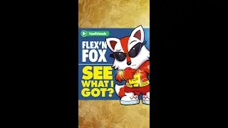 Flex'n Fox: See What I Got? - VeeFriends | Music Video