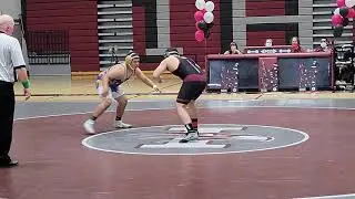 David the Destroyer