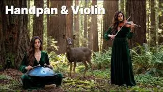 🌲 Redwood Sanctuary with Forest Animals | Handpan & Violin Healing Music (Deer & Birds Ambience)