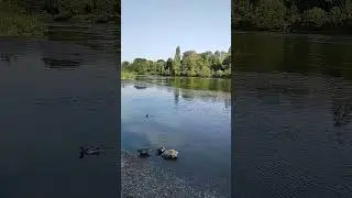 Reservoirs in German parks