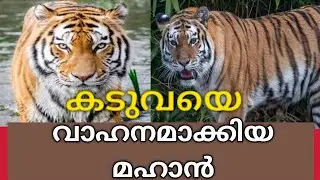 kaduvayude purathu yathra cheytha mahaan/കടവയുടെ പുറത്തു യാത്ര ചെയ്ത മഹാൻ