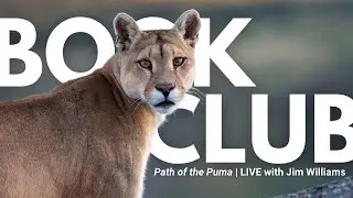 Wildlife Biologist Jim Williams Reveals 40 Years of Mountain Lion Secrets | Rewildology Book Club
