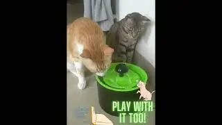 24x7 eMall Pet Drinking Water Fountain