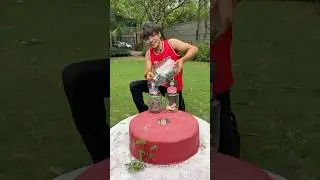 IPL Final