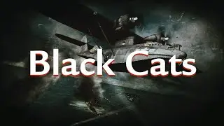 CALL OF DUTY WORLD AT WAR: Black Cats