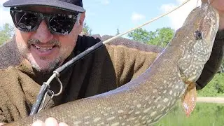 Alberta Pike Catch and Cook
