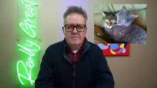 MY CATS TAUGHT ME HOW TO SURVIVE FASCISM