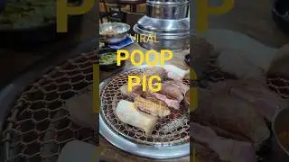 I ATE THE VIRAL POOP PIG DELICACY ON JEJU ISLAND 💩🐷