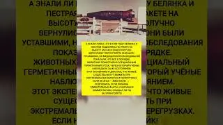 😱Полет на 453 км: собаки, пережившие экстремальную высоту! Интересные факты. #история #факты