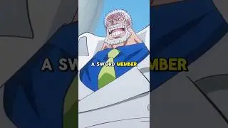 All Known Members of SWORD - One Piece