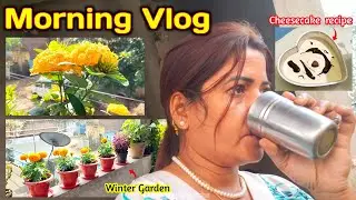 My Winter GARDEN with Cheese-Cake Recipe 😋| Morning Vlog | ଦେଖନ୍ତୁ ମୁଁ winters ରେ କେଉଁ ଫୁଲ ଗଛ ଲଗେଇଛି