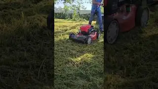 IT Pro Jason Swaps Keyboard for Mower: Helps Elderly Marine Veteran with FREE Lawn Mowing