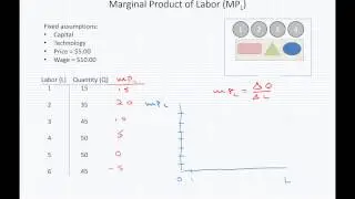 ECON 3100 2.2 - Marginal Product of Labor