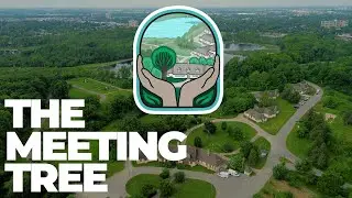 Explore ReForest London with the Meeting Tree | Westminster Ponds Centre