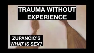 TRAUMA OUTSIDE EXPERIENCE.  Alenka Zupančič's What Is Sex?: Object-Disoriented Ontology Pt. 4