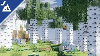 Birch Forest | Crafty Concepts Ambience