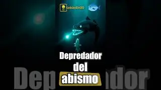 El pez DRAG&Oacute;N NEGRO: depredador del abismo 🐉🌌