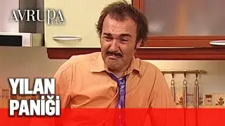Sütçüoğlu rezidansında yılan alarmı - Avrupa Yakası