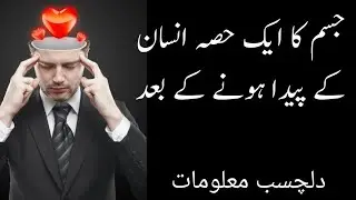دلچسب معلومات
