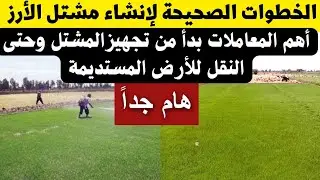 خطوات إنشاء مشتل الارز بالطريقة الصحيحة بدأ من تجهيز أرض المشتل ونصائح مهمة جدا لازم تعرفها