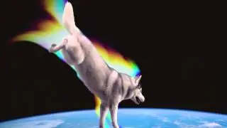Wolf BPP