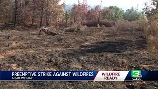 'A real success story': Cal Fire says fuel reduction work limited Placer County fire's spread