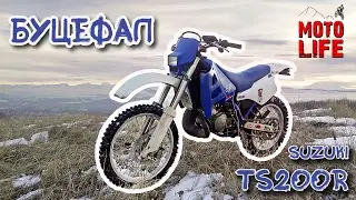 Suzuki TS200R | Буцефал - начало  [Moto Life]