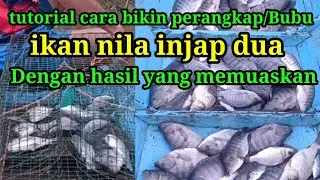 Cara bikin perangkap ikan nila liar injap pengurung dua
