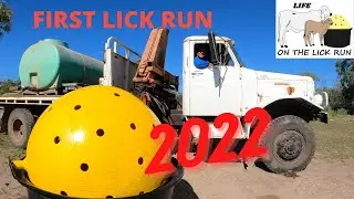 First Lick Run 2022